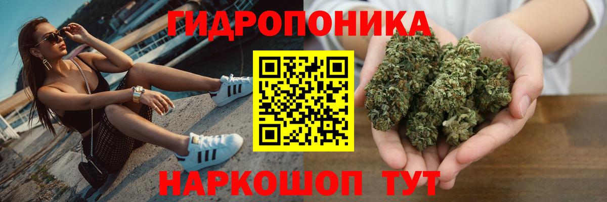 Марихуана Amnesia  Канабис план  Десногорск  Вход с VPN 